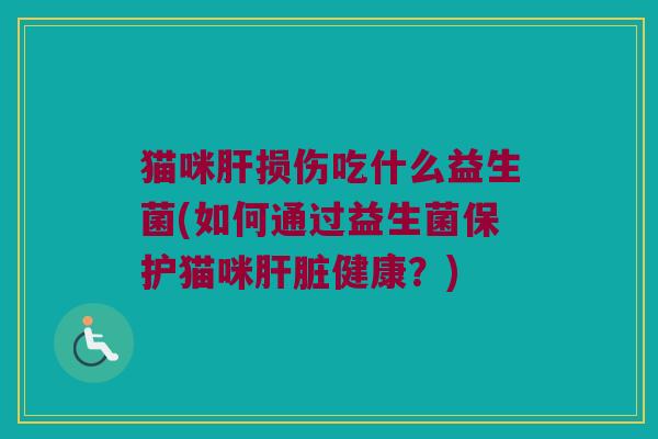 猫咪肝损伤吃什么益生菌(如何通过益生菌保护猫咪肝脏健康？)