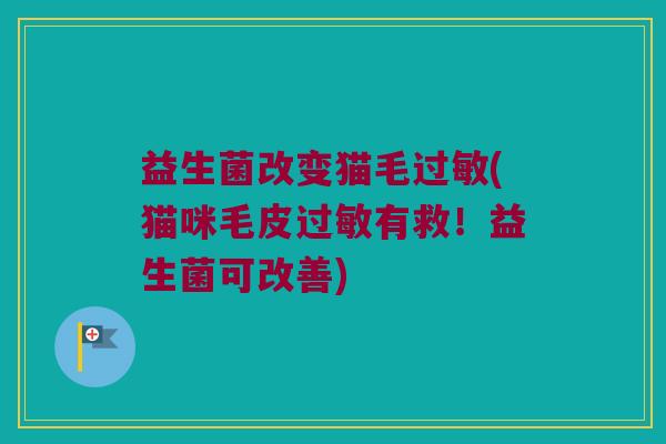 益生菌改变猫毛过敏(猫咪毛皮过敏有救！益生菌可改善)
