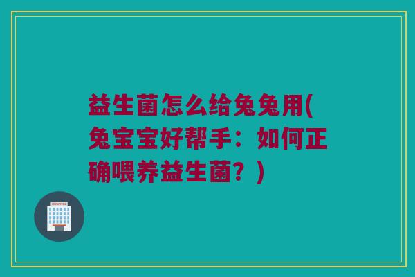 益生菌怎么给兔兔用(兔宝宝好帮手：如何正确喂养益生菌？)