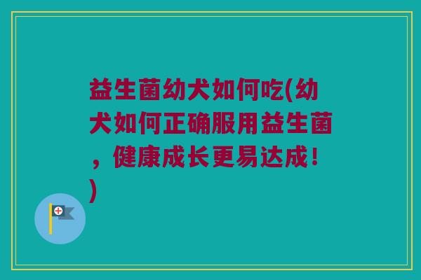 益生菌幼犬如何吃(幼犬如何正确服用益生菌，健康成长更易达成！)
