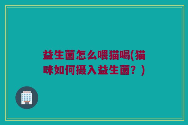 益生菌怎么喂猫喝(猫咪如何摄入益生菌？)