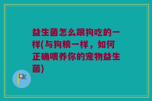 益生菌怎么跟狗吃的一样(与狗粮一样，如何正确喂养你的宠物益生菌)