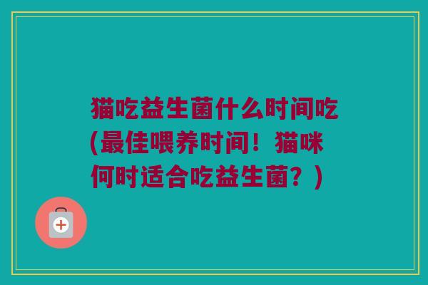 猫吃益生菌什么时间吃(最佳喂养时间！猫咪何时适合吃益生菌？)