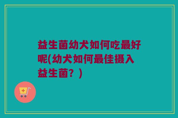 益生菌幼犬如何吃最好呢(幼犬如何最佳摄入益生菌？)