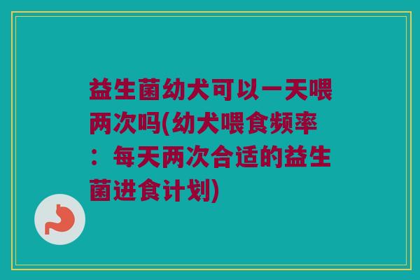 益生菌幼犬可以一天喂两次吗(幼犬喂食频率：每天两次合适的益生菌进食计划)