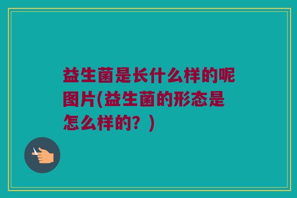 益生菌是长什么样的呢图片(益生菌的形态是怎么样的？)