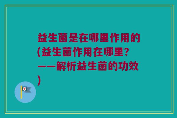 益生菌是在哪里作用的(益生菌作用在哪里？——解析益生菌的功效)