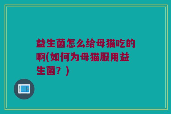 益生菌怎么给母猫吃的啊(如何为母猫服用益生菌？)
