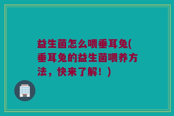 益生菌怎么喂垂耳兔(垂耳兔的益生菌喂养方法，快来了解！)