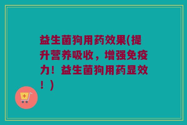 益生菌狗用药效果(提升营养吸收，增强免疫力！益生菌狗用药显效！)