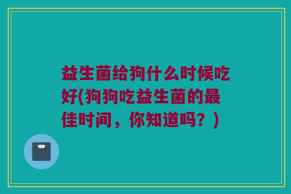 益生菌给狗什么时候吃好(狗狗吃益生菌的最佳时间，你知道吗？)