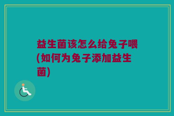 益生菌该怎么给兔子喂(如何为兔子添加益生菌)
