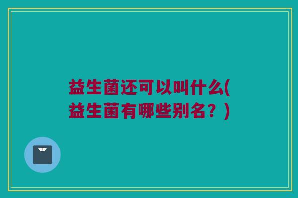 益生菌还可以叫什么(益生菌有哪些别名？)
