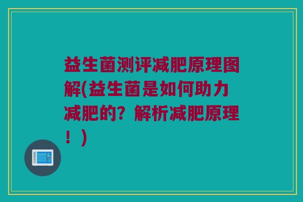 益生菌测评减肥原理图解(益生菌是如何助力减肥的？解析减肥原理！)