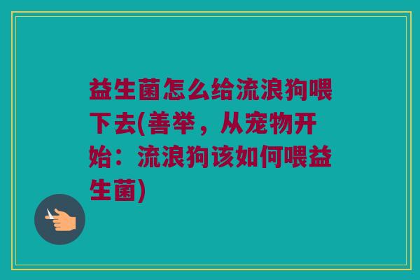益生菌怎么给流浪狗喂下去(善举，从宠物开始：流浪狗该如何喂益生菌)