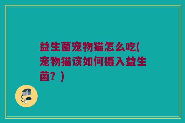 益生菌宠物猫怎么吃(宠物猫该如何摄入益生菌？)