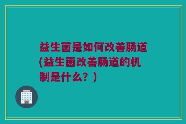 益生菌是如何改善肠道(益生菌改善肠道的机制是什么？)