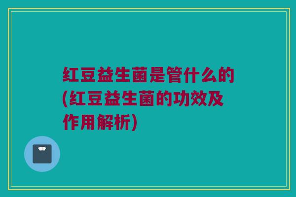 红豆益生菌是管什么的(红豆益生菌的功效及作用解析)
