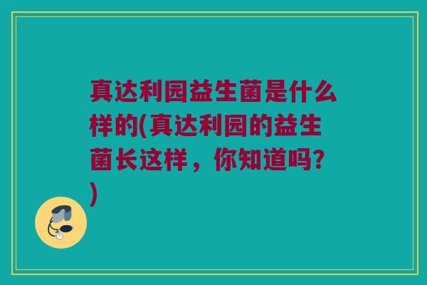 真达利园益生菌是什么样的(真达利园的益生菌长这样，你知道吗？)