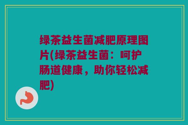 绿茶益生菌减肥原理图片(绿茶益生菌：呵护肠道健康，助你轻松减肥)