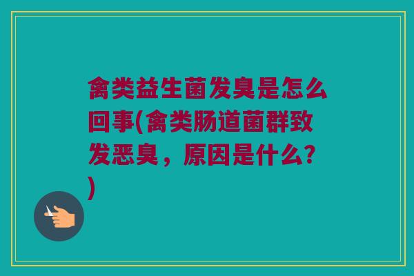 禽类益生菌发臭是怎么回事(禽类肠道菌群致发恶臭，原因是什么？)
