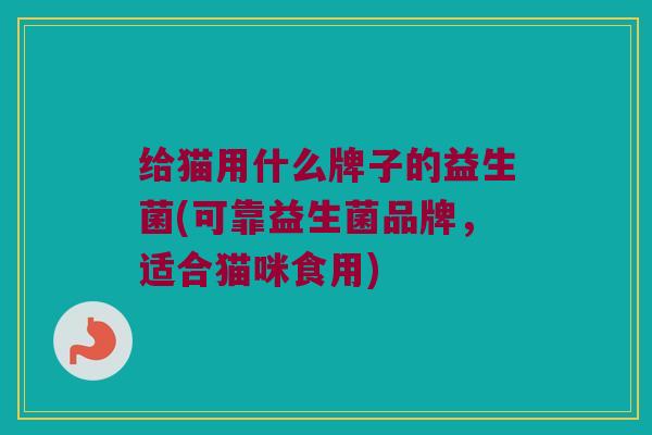 给猫用什么牌子的益生菌(可靠益生菌品牌，适合猫咪食用)
