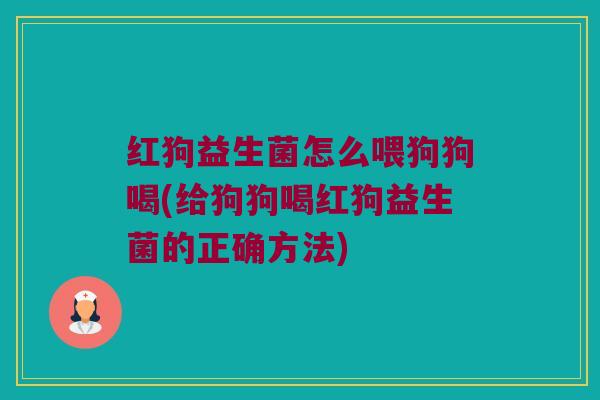 红狗益生菌怎么喂狗狗喝(给狗狗喝红狗益生菌的正确方法)