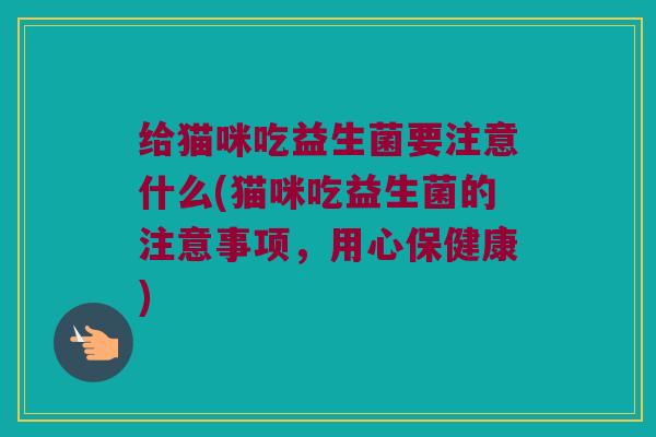 给猫咪吃益生菌要注意什么(猫咪吃益生菌的注意事项，用心保健康)