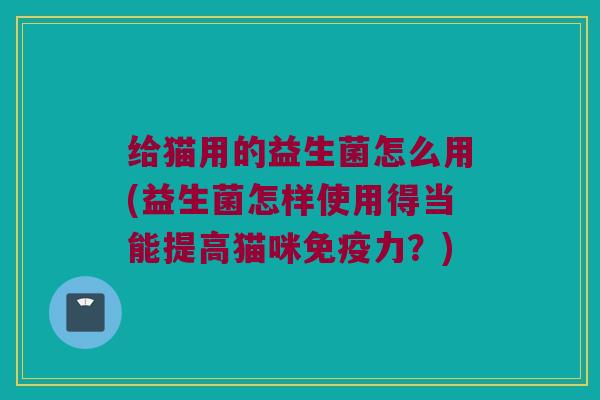 给猫用的益生菌怎么用(益生菌怎样使用得当能提高猫咪力?) 给猫用的益生菌怎么用(益生菌怎样使用得当能提高猫咪力?)
