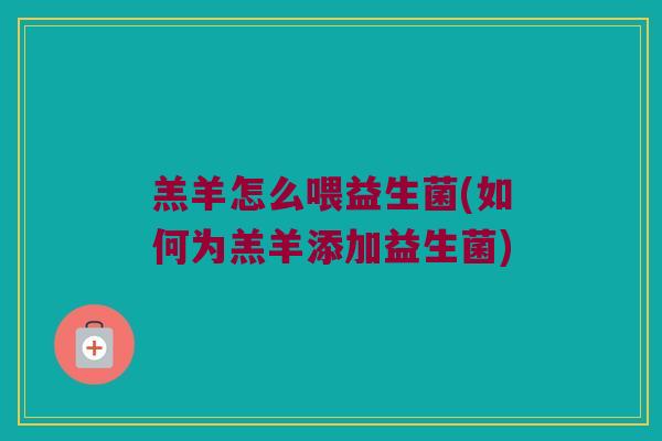 羔羊怎么喂益生菌(如何为羔羊添加益生菌)