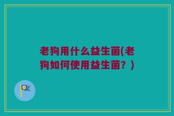 老狗用什么益生菌(老狗如何使用益生菌？)