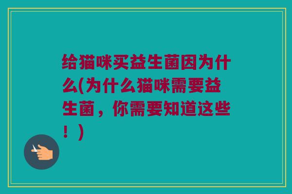 给猫咪买益生菌因为什么(为什么猫咪需要益生菌，你需要知道这些！)