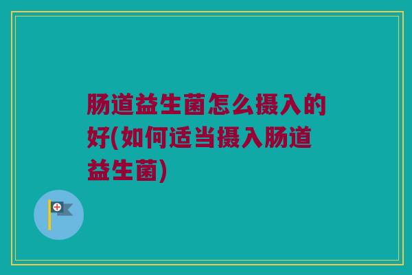 肠道益生菌怎么摄入的好(如何适当摄入肠道益生菌)