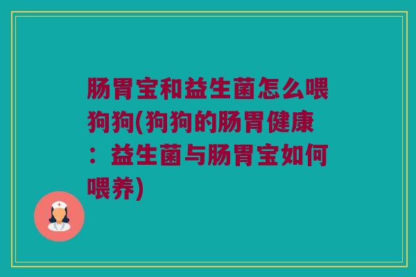 肠胃宝和益生菌怎么喂狗狗(狗狗的肠胃健康：益生菌与肠胃宝如何喂养)