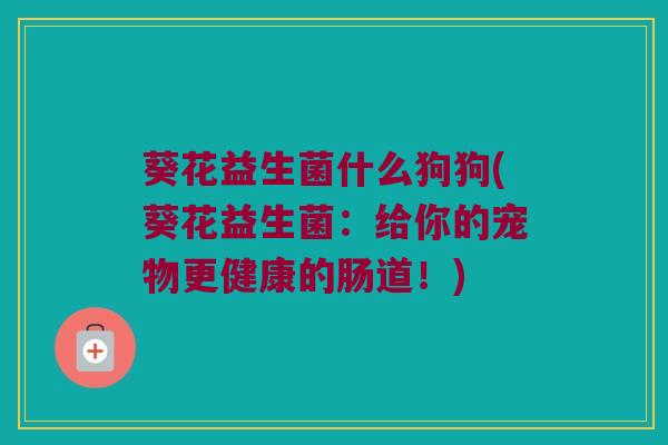 葵花益生菌什么狗狗(葵花益生菌：给你的宠物更健康的肠道！)