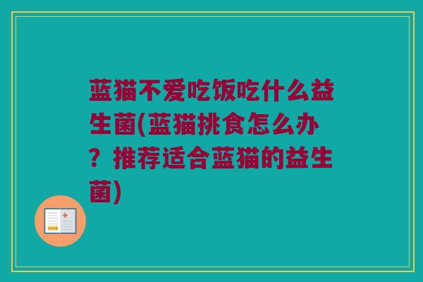 蓝猫不爱吃饭吃什么益生菌(蓝猫挑食怎么办？推荐适合蓝猫的益生菌)