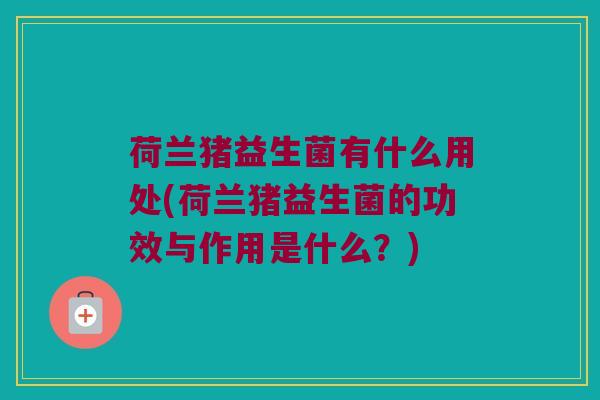 荷兰猪益生菌有什么用处(荷兰猪益生菌的功效与作用是什么？)