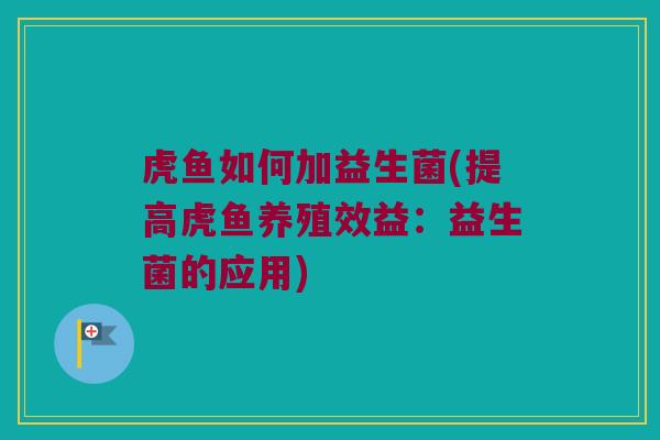 虎鱼如何加益生菌(提高虎鱼养殖效益：益生菌的应用)