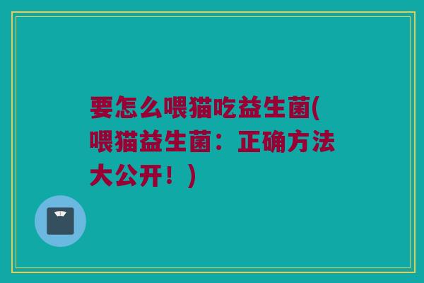 要怎么喂猫吃益生菌(喂猫益生菌：正确方法大公开！)