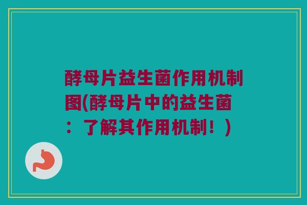 酵母片益生菌作用机制图(酵母片中的益生菌：了解其作用机制！)