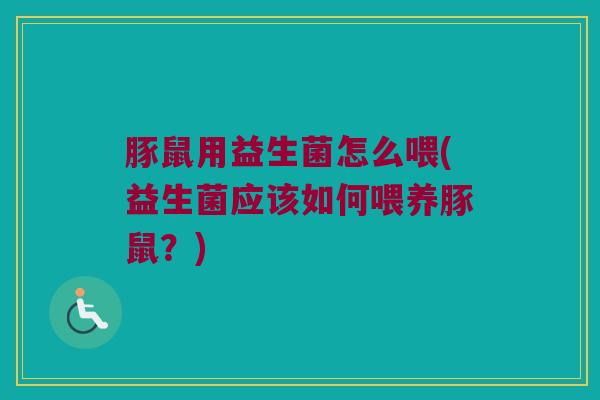 豚鼠用益生菌怎么喂(益生菌应该如何喂养豚鼠？)