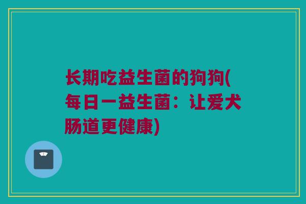 长期吃益生菌的狗狗(每日一益生菌：让爱犬肠道更健康)