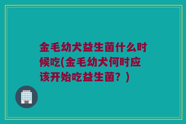 金毛幼犬益生菌什么时候吃(金毛幼犬何时应该开始吃益生菌？)