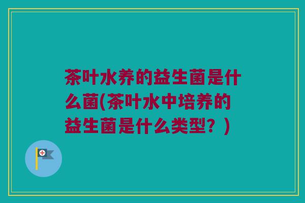 茶叶水养的益生菌是什么菌(茶叶水中培养的益生菌是什么类型？)