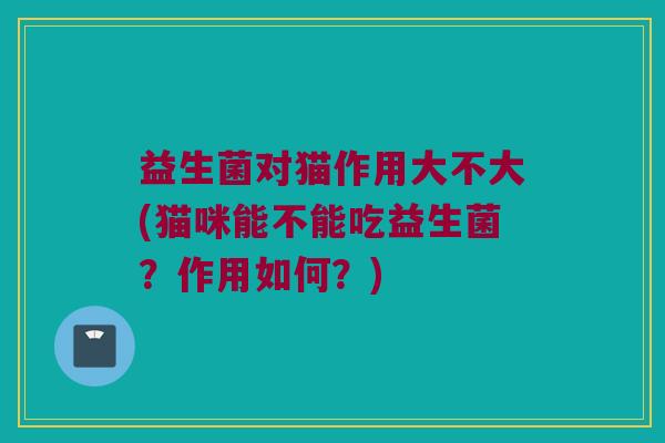 益生菌对猫作用大不大(猫咪能不能吃益生菌？作用如何？)