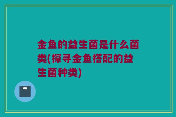 金鱼的益生菌是什么菌类(探寻金鱼搭配的益生菌种类)