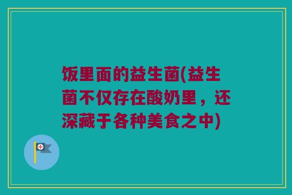 饭里面的益生菌(益生菌不仅存在酸奶里，还深藏于各种美食之中)