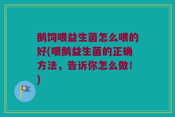 鹅饲喂益生菌怎么喂的好(喂鹅益生菌的正确方法，告诉你怎么做！)