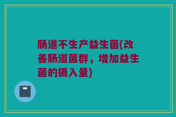 肠道不生产益生菌(改善肠道菌群，增加益生菌的摄入量)