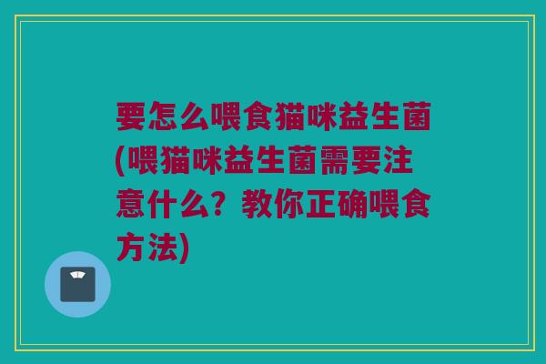 要怎么喂食猫咪益生菌(喂猫咪益生菌需要注意什么？教你正确喂食方法)